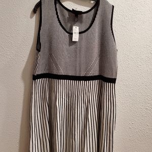 Pin stripped Sweater Dress
